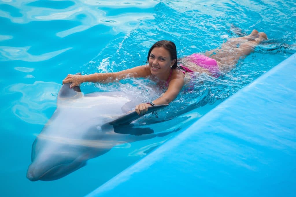 Swim With Dolphins Key West