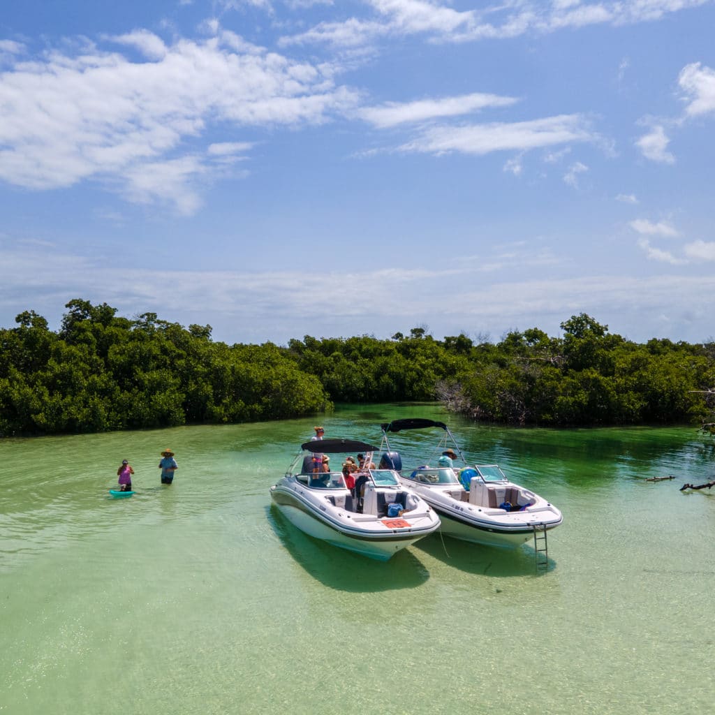 Mangrove Safari - Mud Key Mangrove Islands - Key West Boat Trips