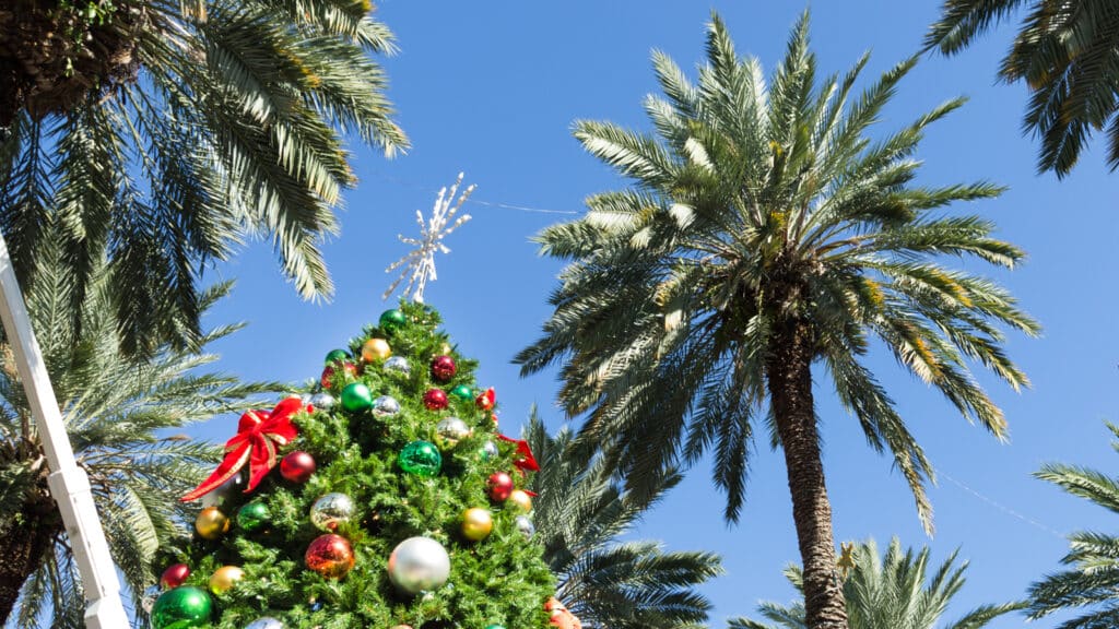 Christmas In Key West - Festive  Christmas Tree