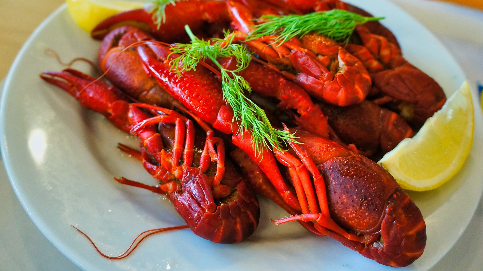 Lobster For High-End Dinning - Best Seafood In Key West