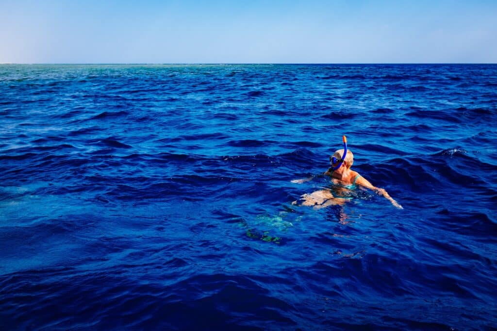 Snorkeling In The Atlantic Ocean