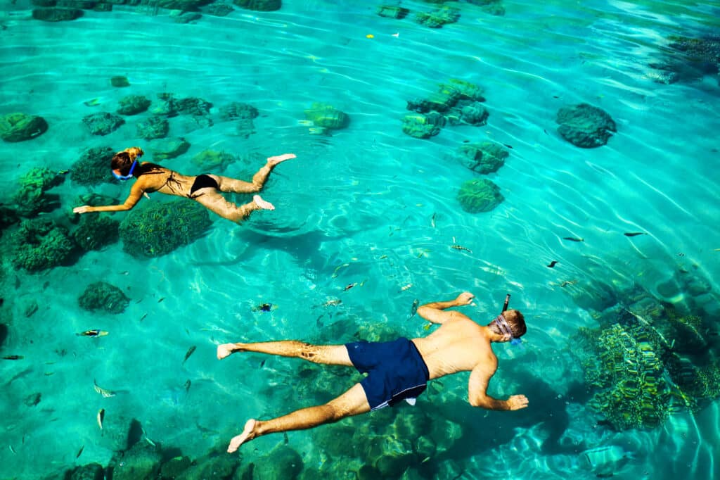 Snorkeling In Key West