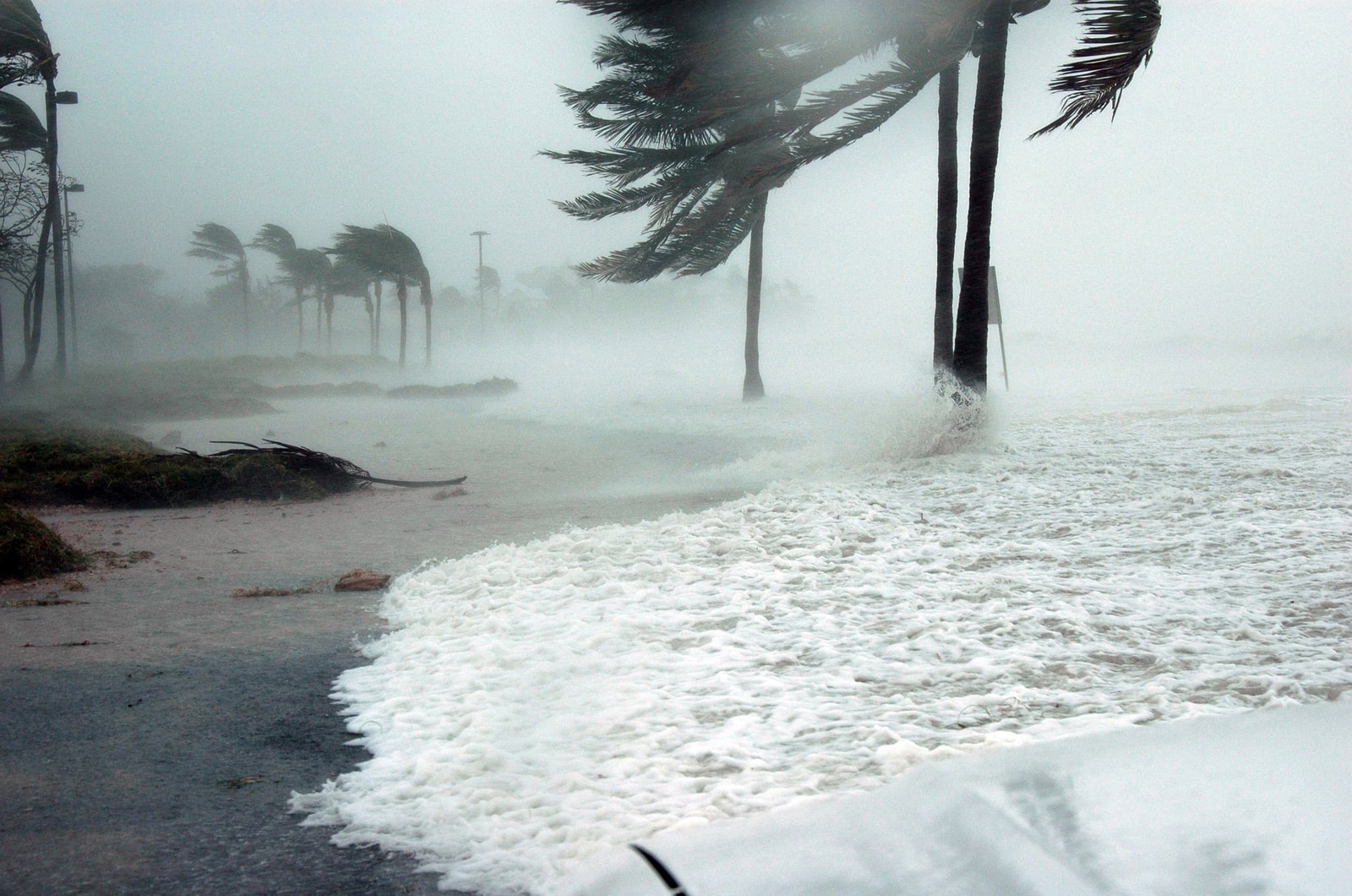 Key West's Rainy Season