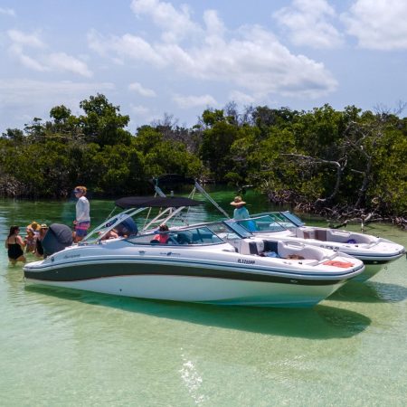 Mangrove Safari - Key West Boat Trips